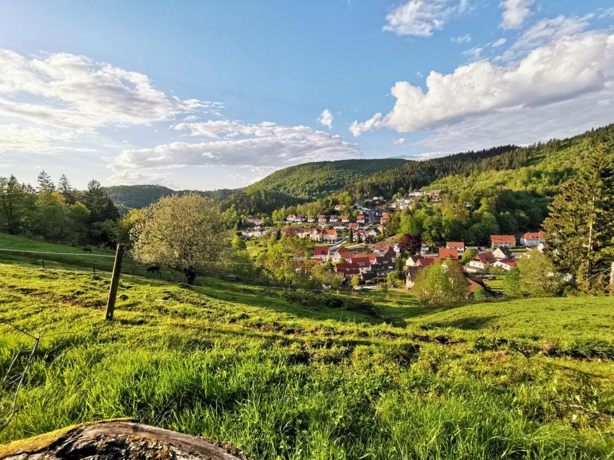 Hotel Pension Jaegerstieg Bad Grund Bagian luar foto