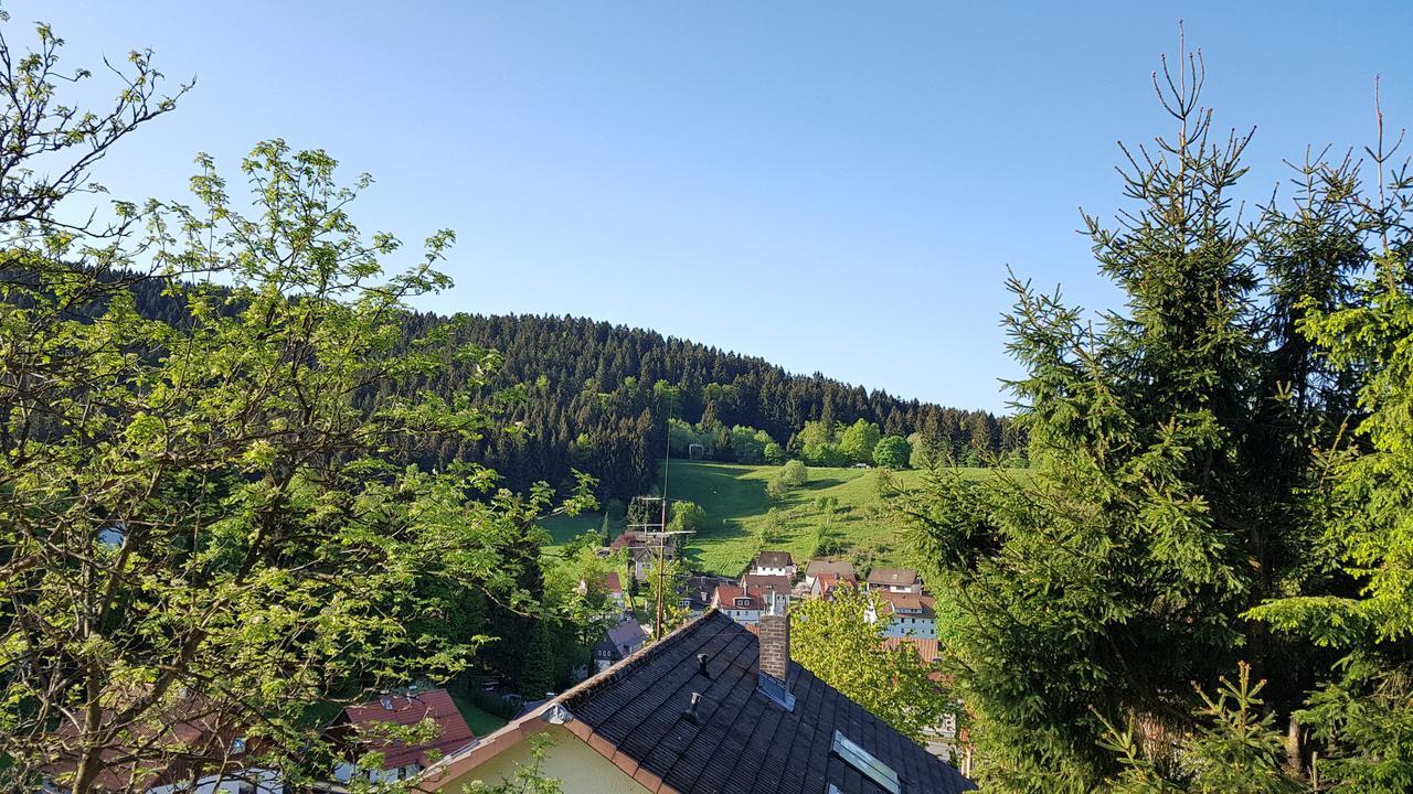 Hotel Pension Jaegerstieg Bad Grund Bagian luar foto